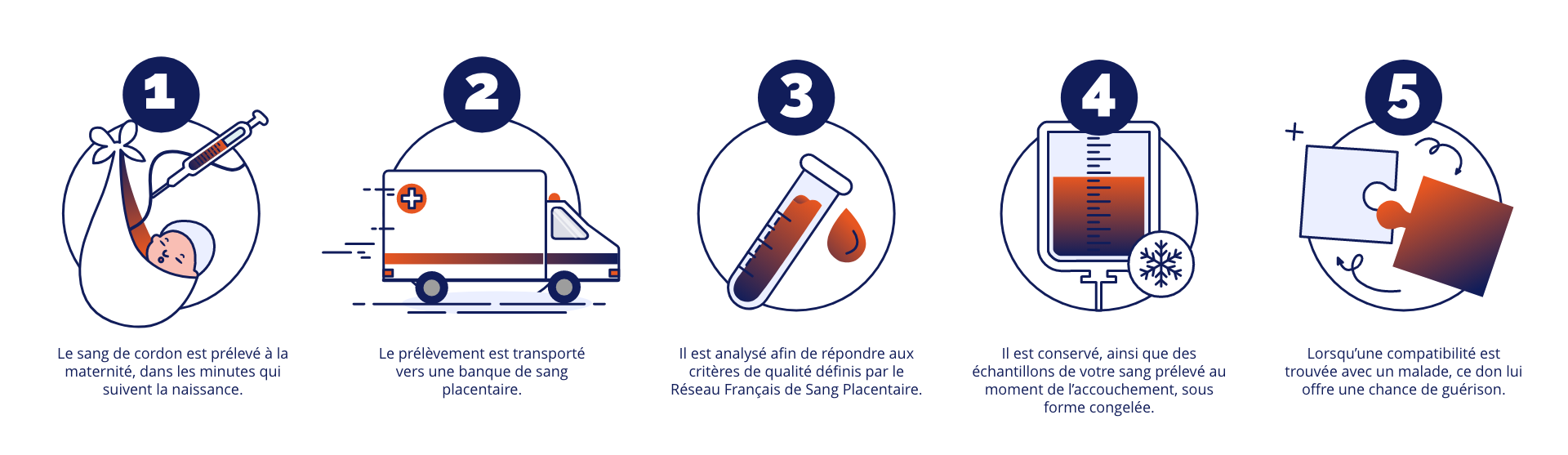 Don de sang de cordon